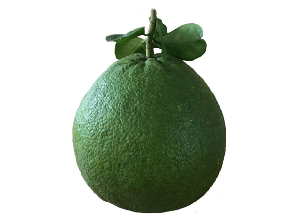 Bưởi da xanh / Green skin grapefruit