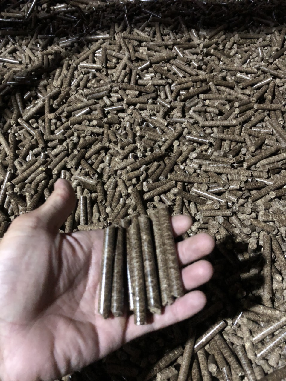 Viên nén gỗ /  Wood pellets