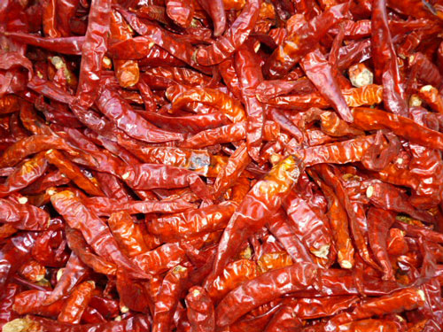 Ớt khô